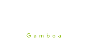 Tree Trek Gamboa Prueba